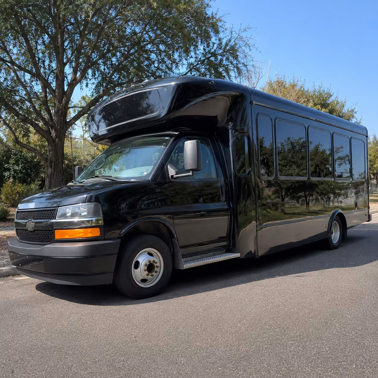 25 passenger party bus